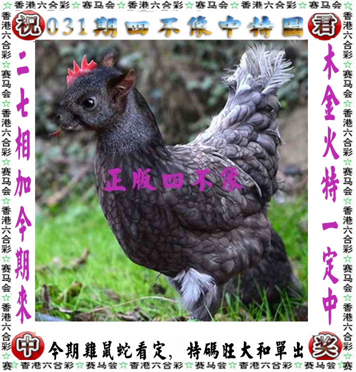 03448.com�������������С���